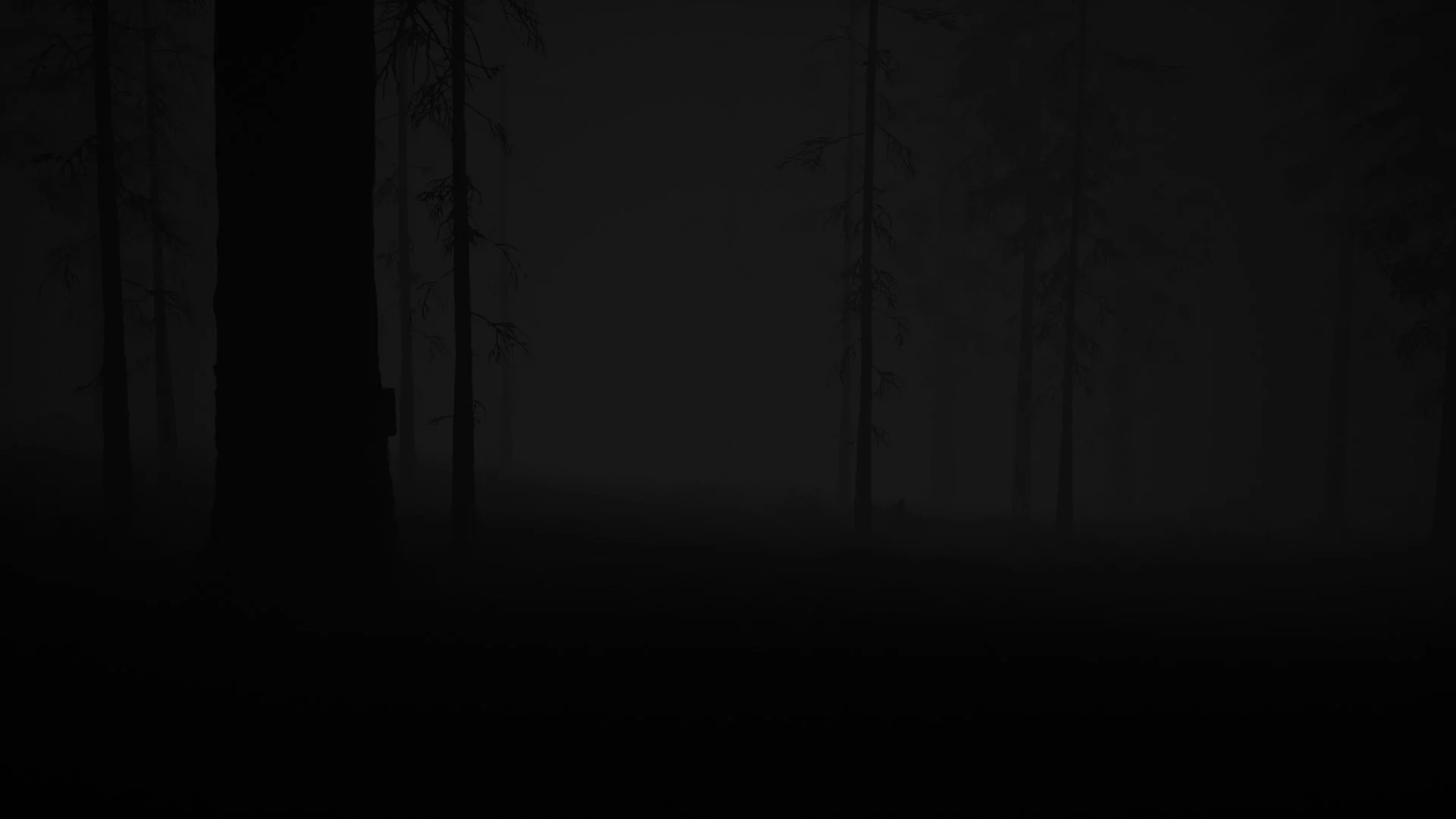 Изображение игры: Study of Unusual: Forest of Secrets