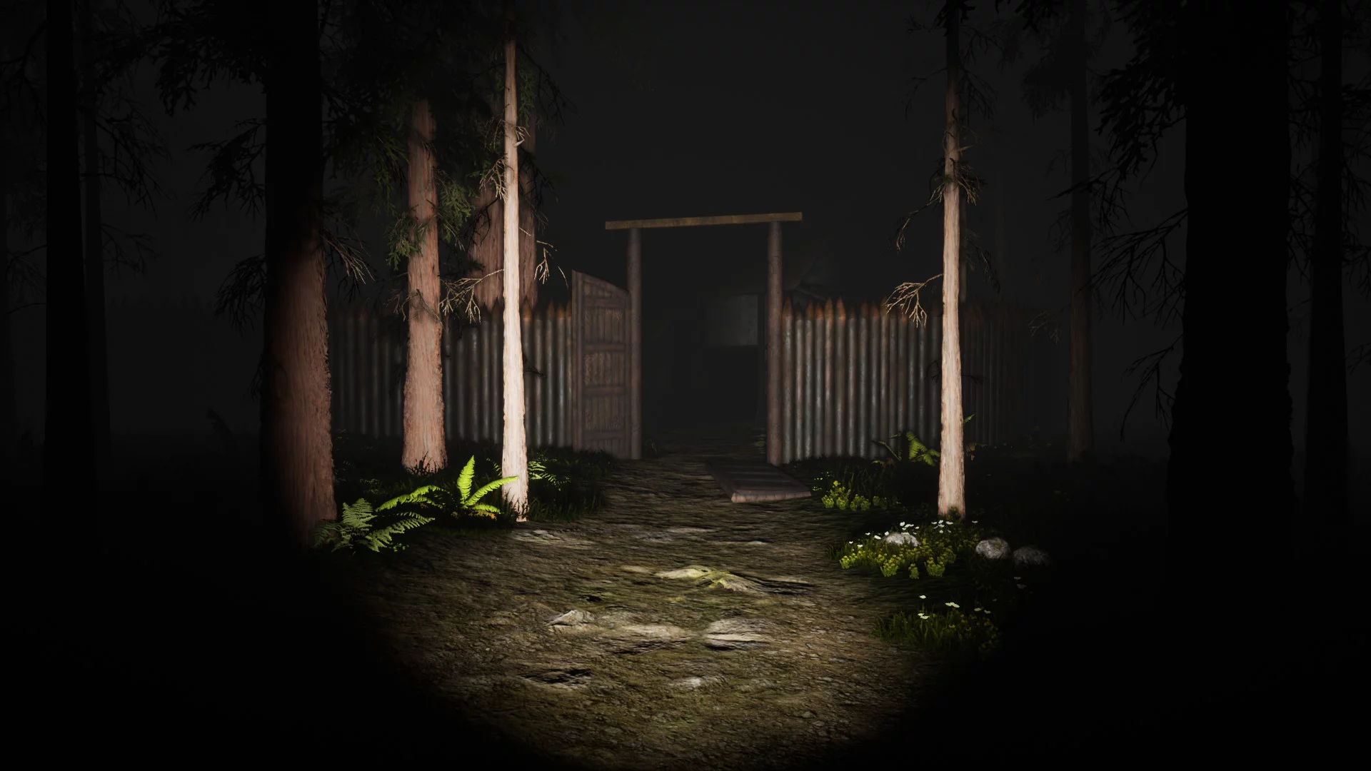 Изображение игры: Study of Unusual: Forest of Secrets