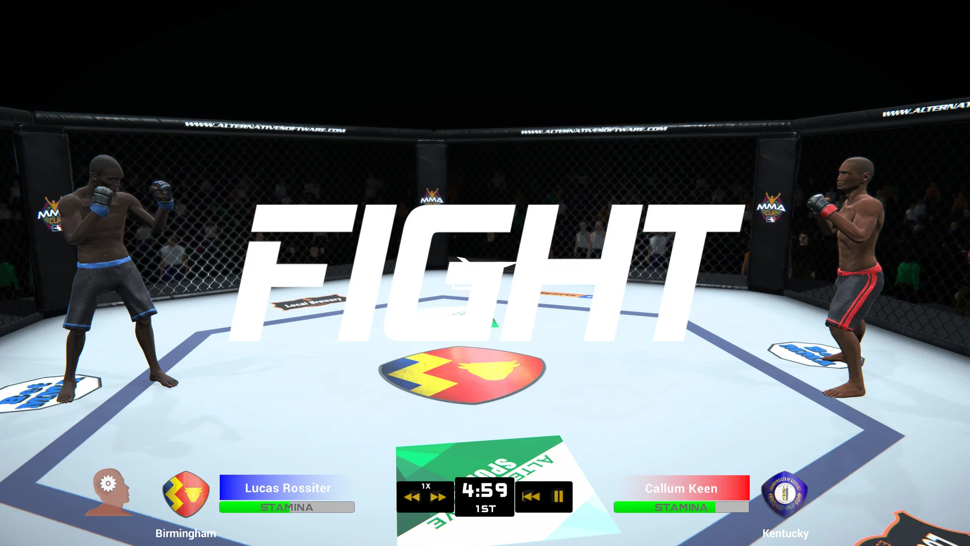 Изображение игры: MMA Team Manager