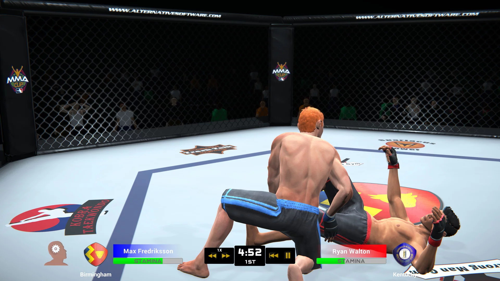 Изображение игры: MMA Team Manager