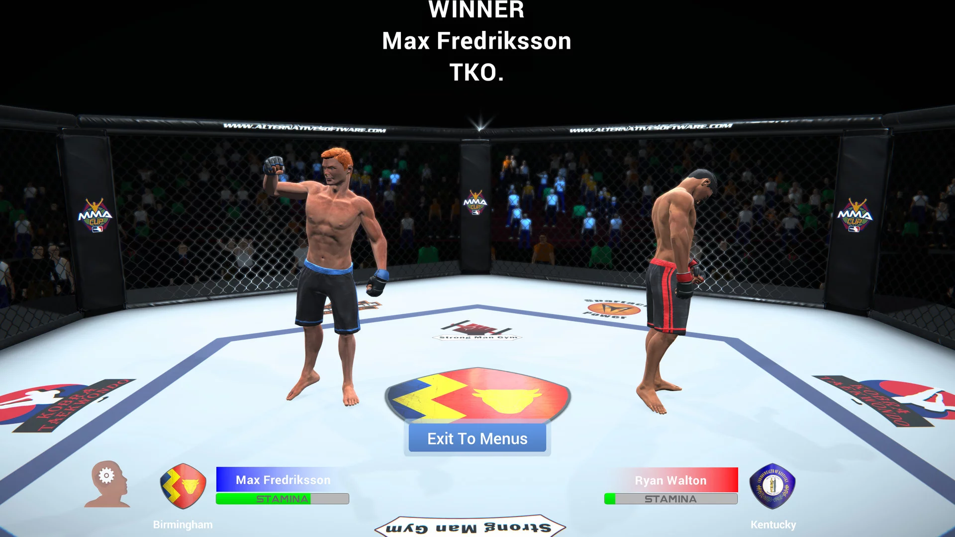 Изображение игры: MMA Team Manager