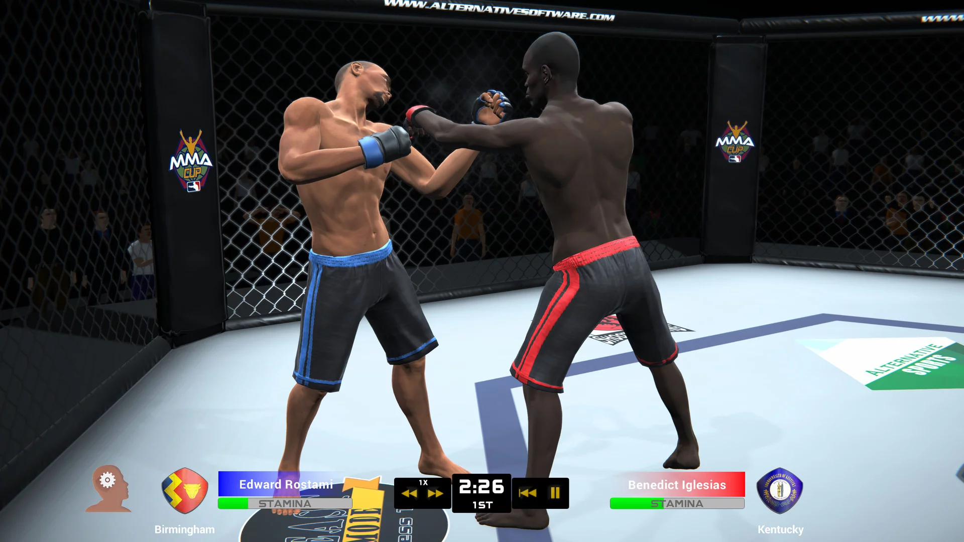 Изображение игры: MMA Team Manager