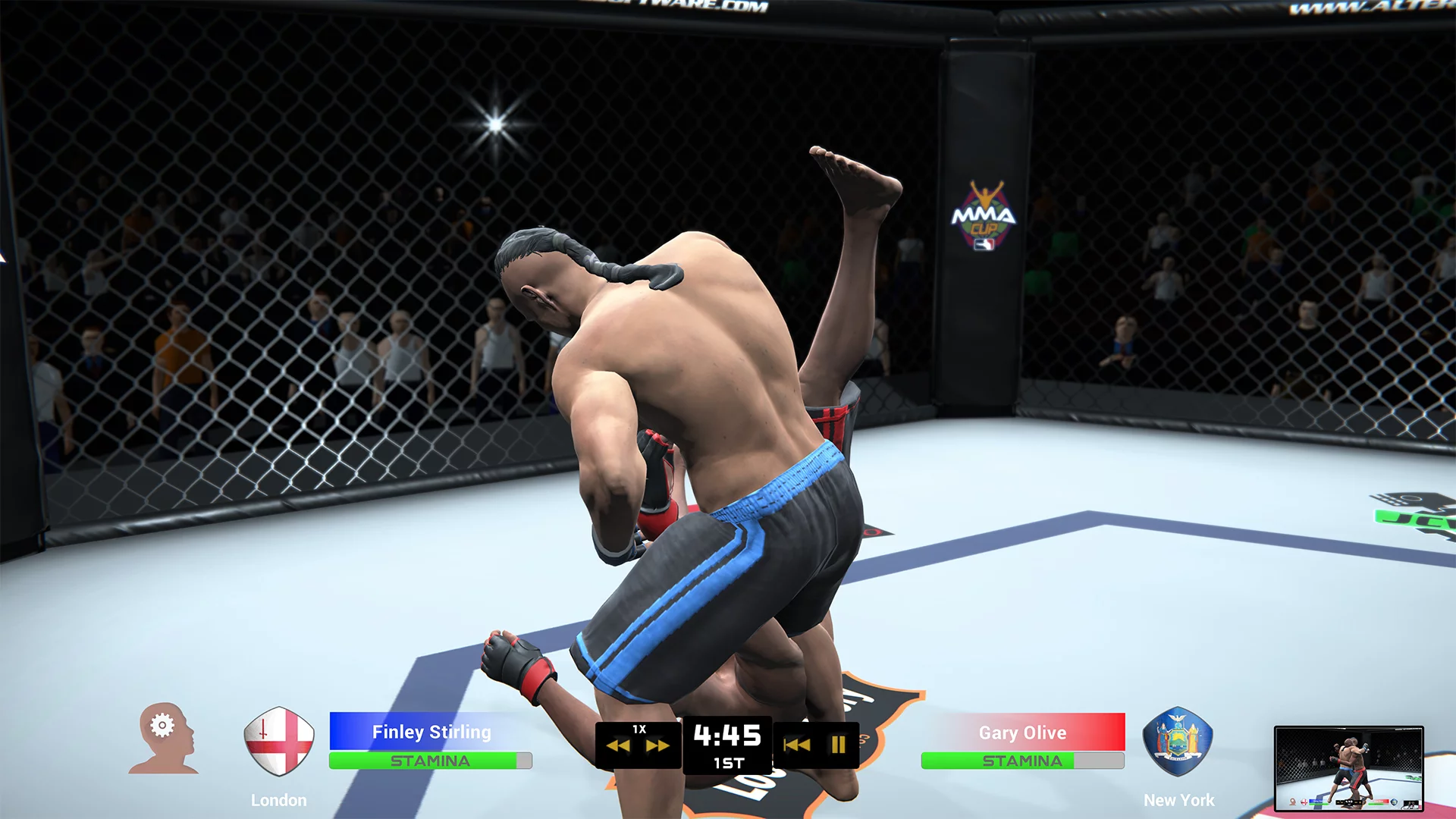 Изображение игры: MMA Team Manager