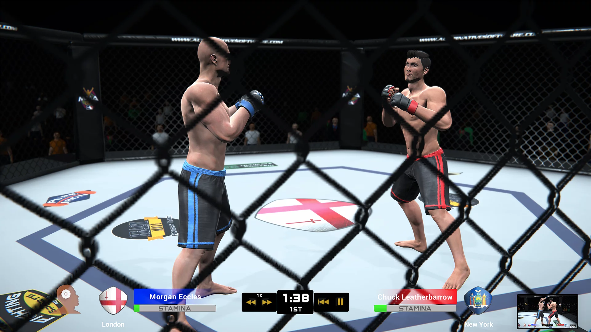 Изображение игры: MMA Team Manager