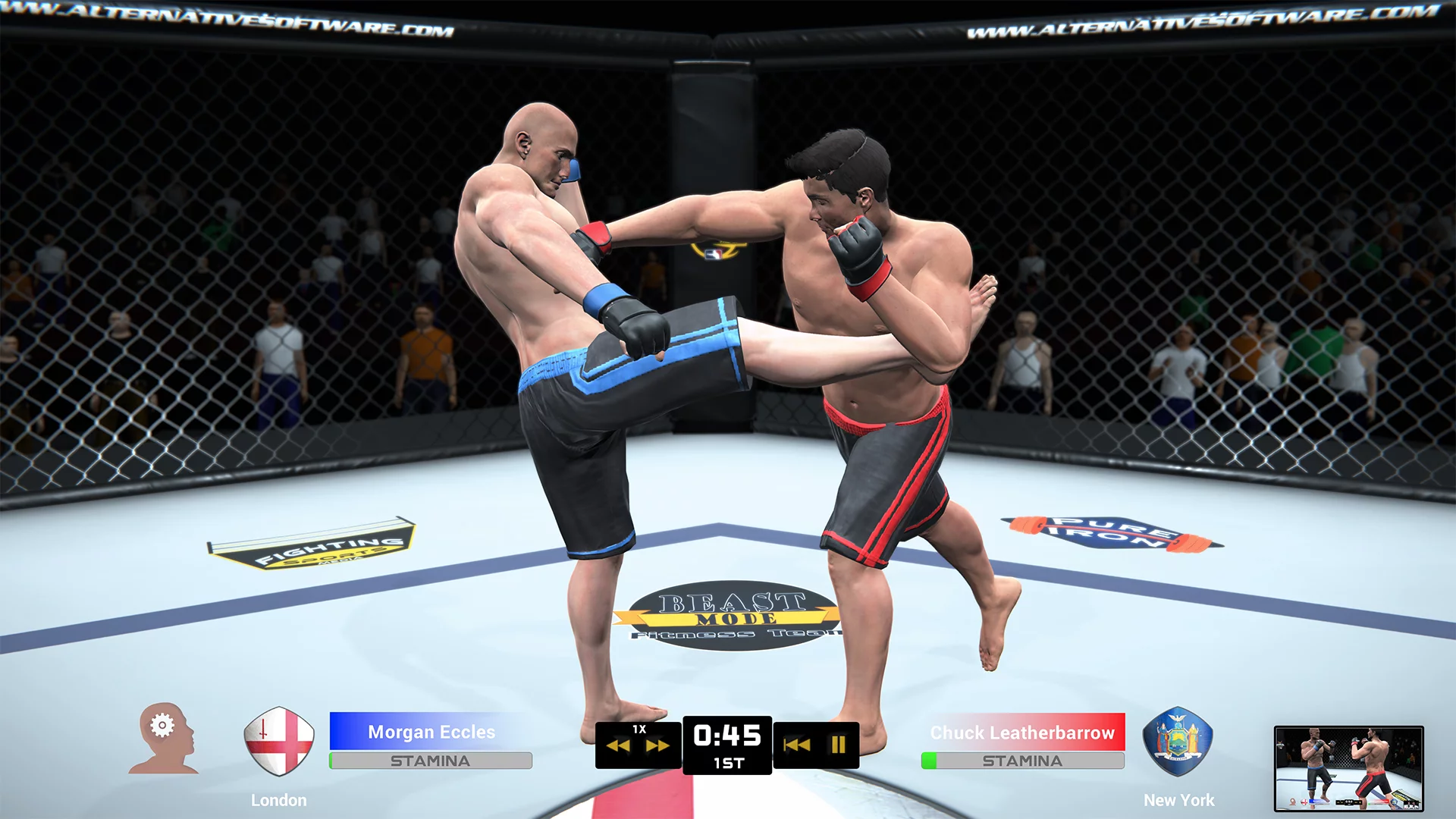 Изображение игры: MMA Team Manager