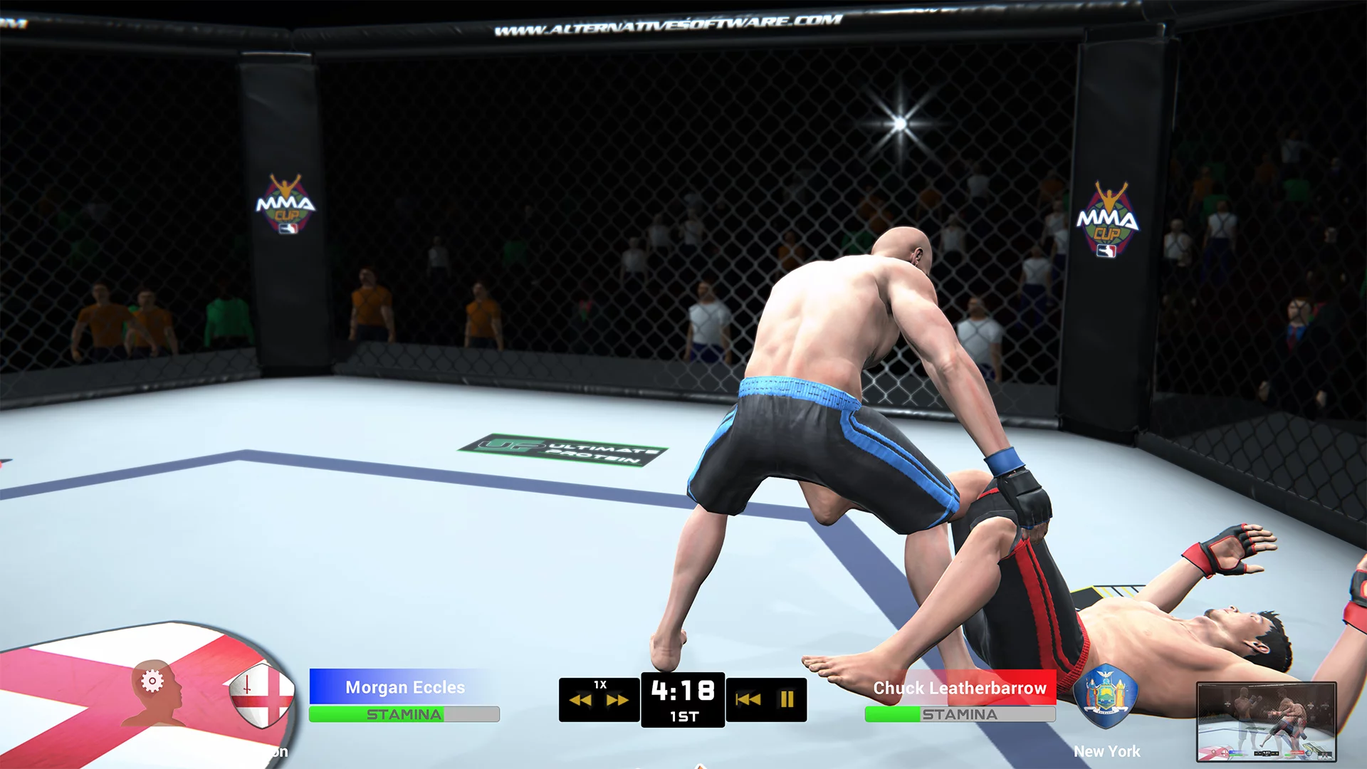 Изображение игры: MMA Team Manager