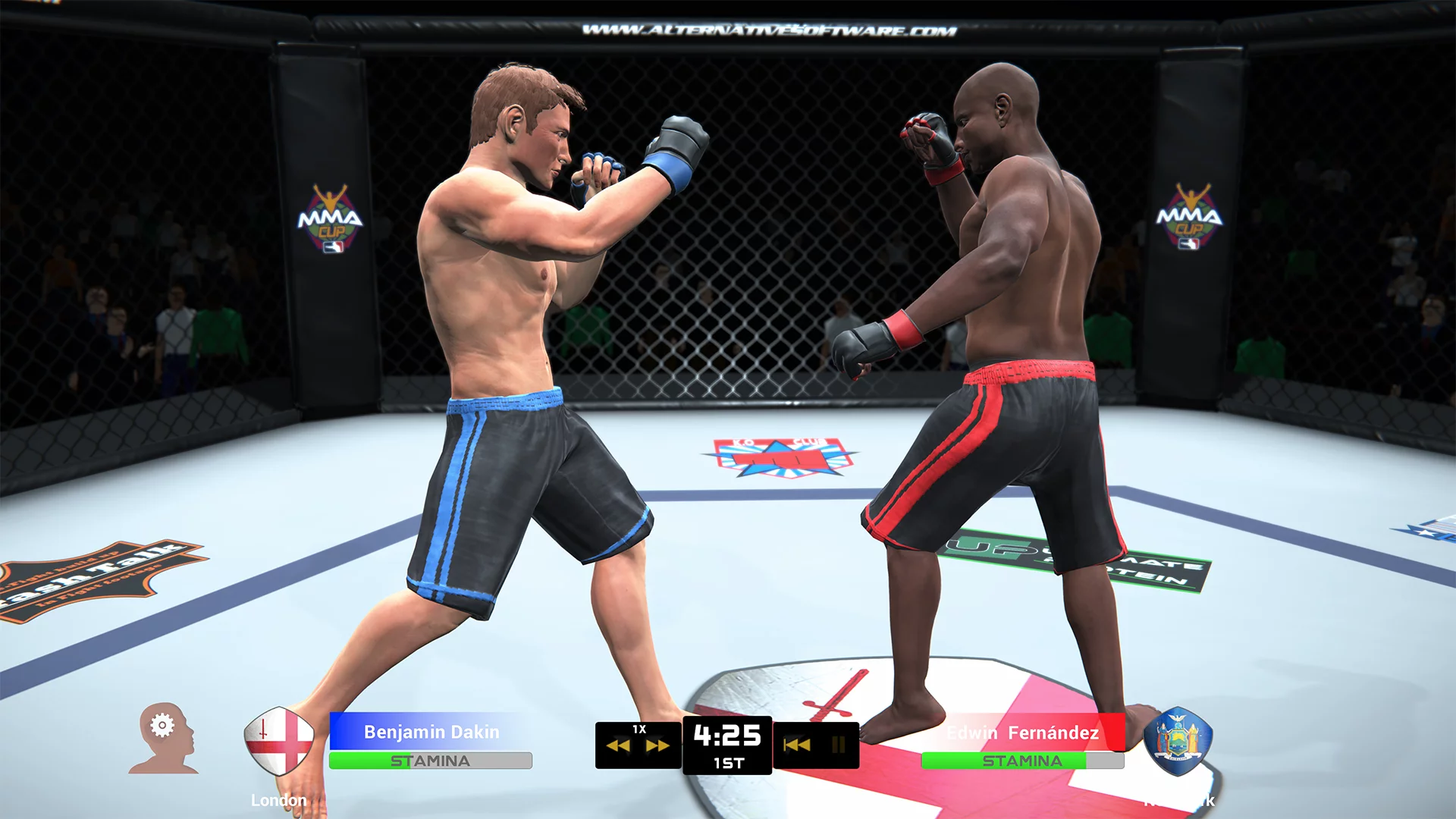 Изображение игры: MMA Team Manager