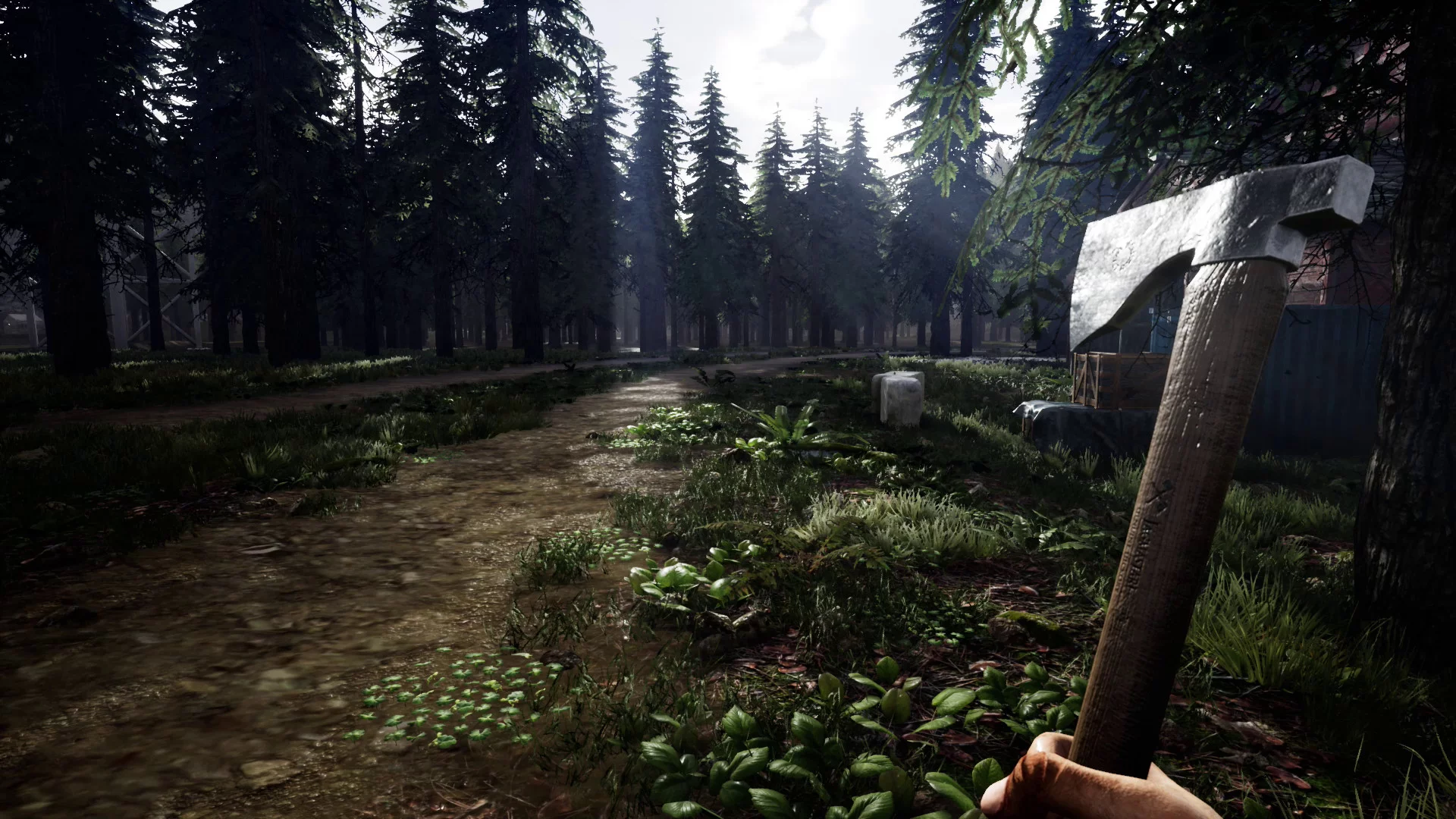Изображение игры: Mist Survival