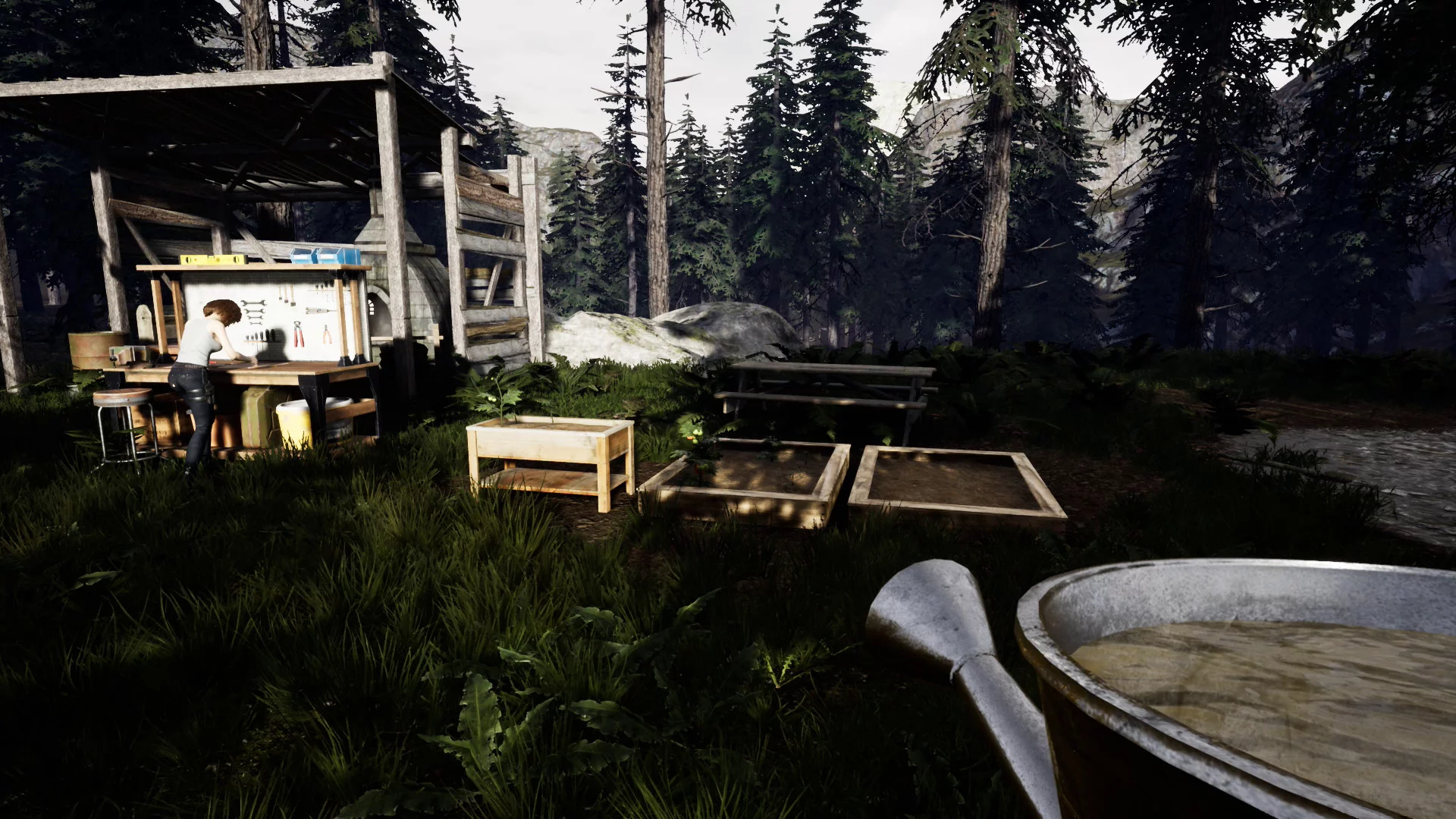 Изображение игры: Mist Survival