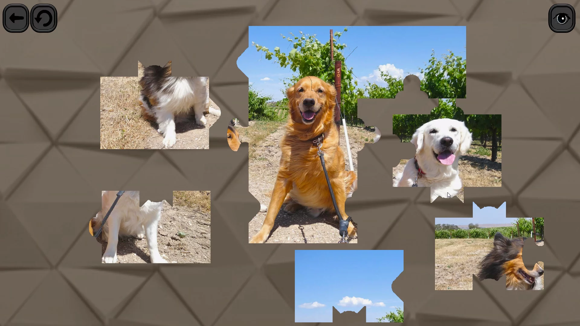 Изображение игры: Puzzles for smart: Dogs