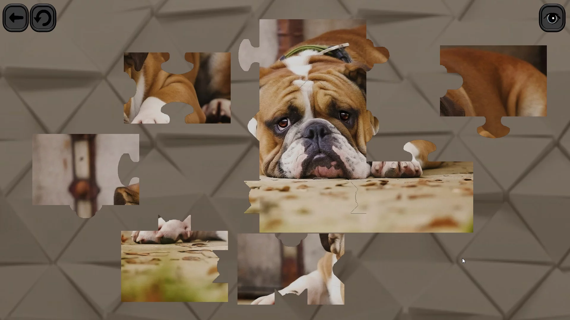 Изображение игры: Puzzles for smart: Dogs