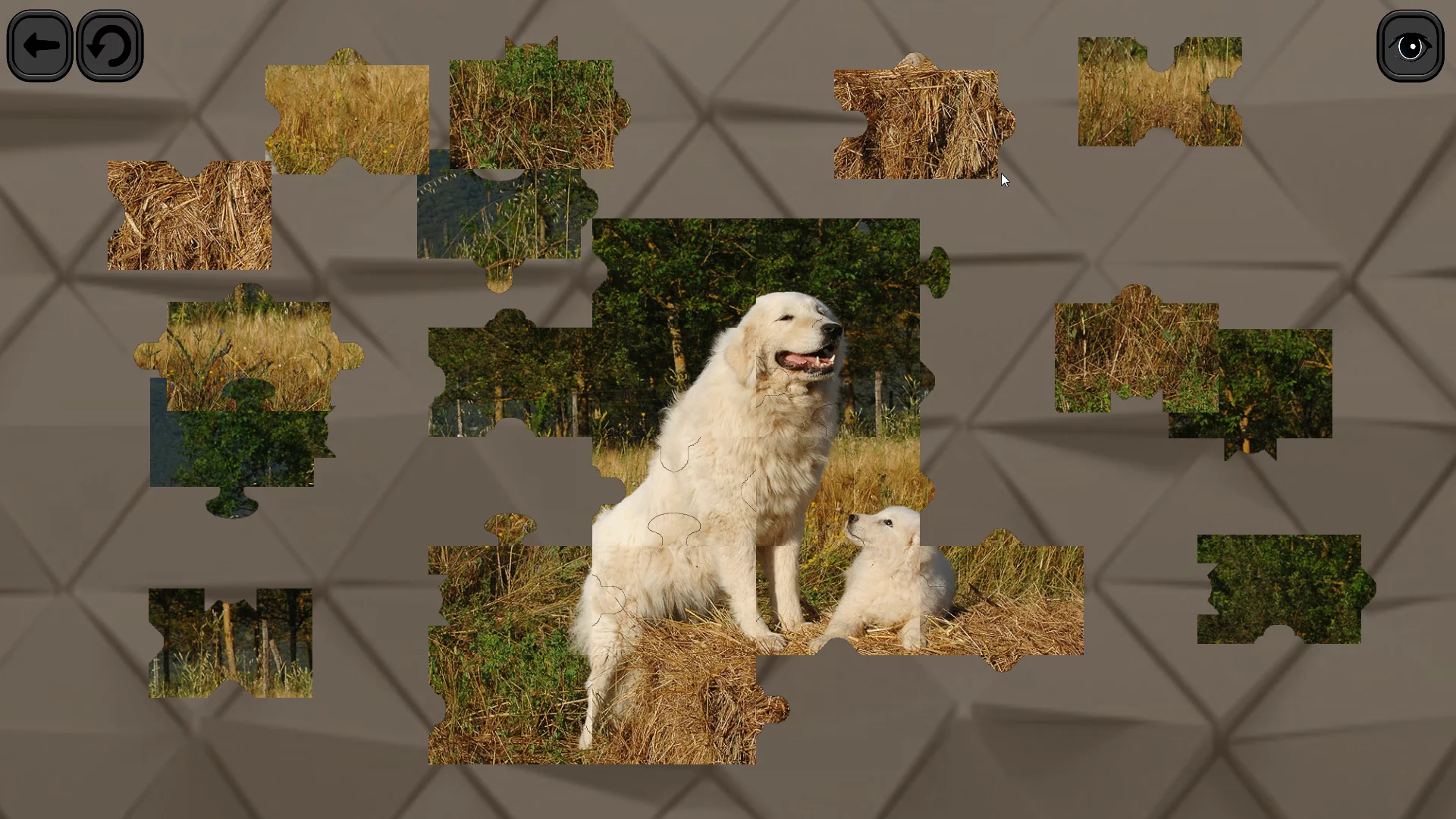 Изображение игры: Puzzles for smart: Dogs