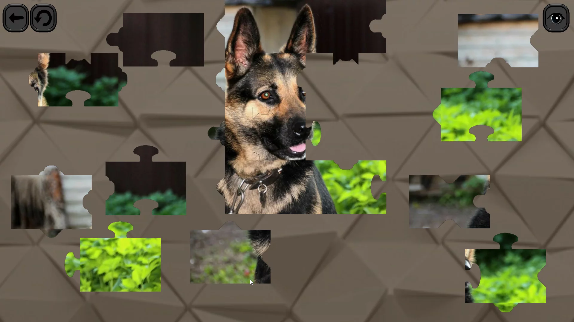 Изображение игры: Puzzles for smart: Dogs