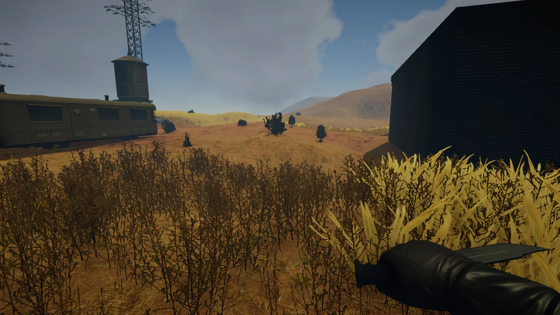 Изображение игры: Survival Hell