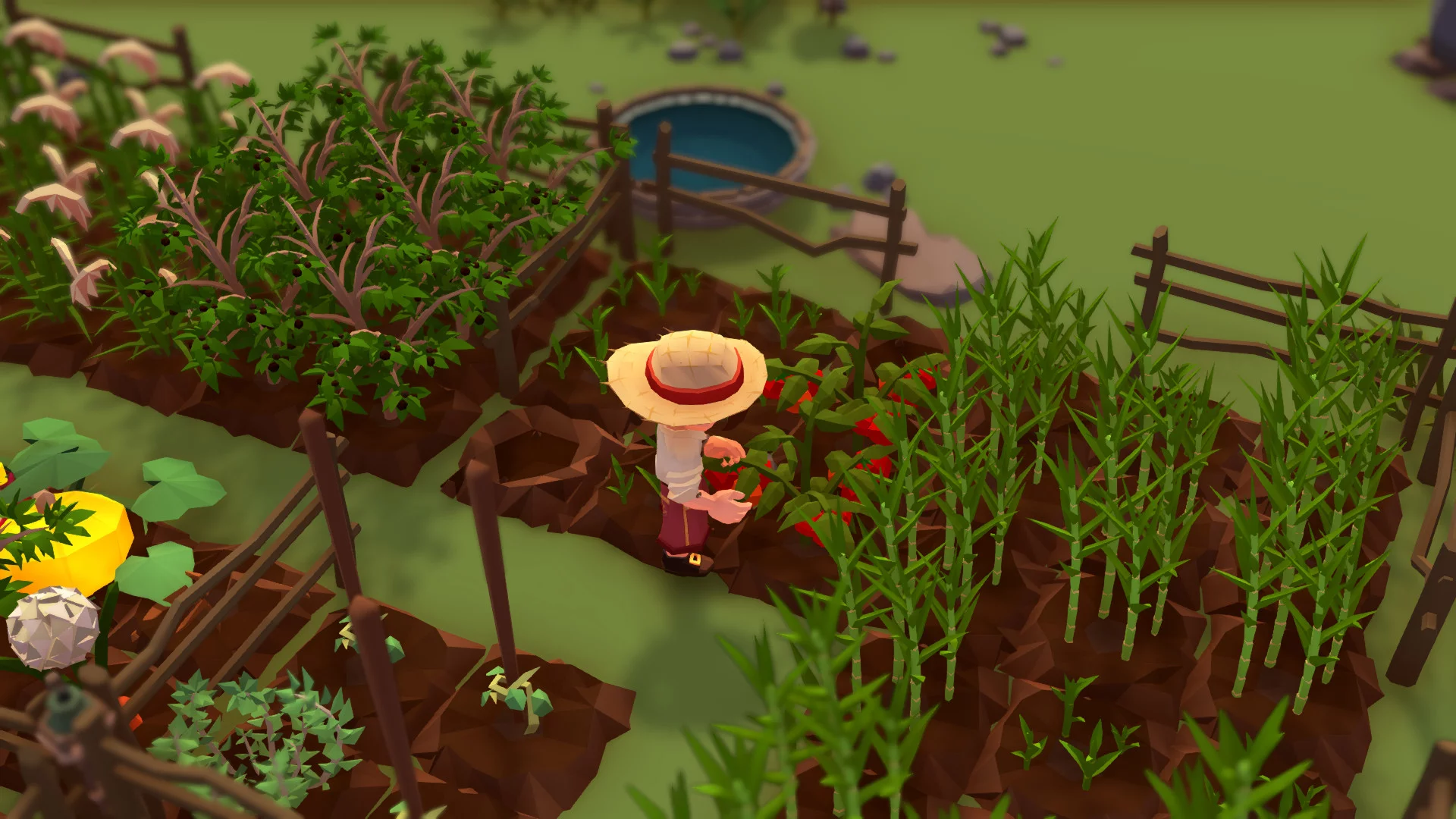 Изображение игры: Stranded Sails - Explorers of the Cursed Islands