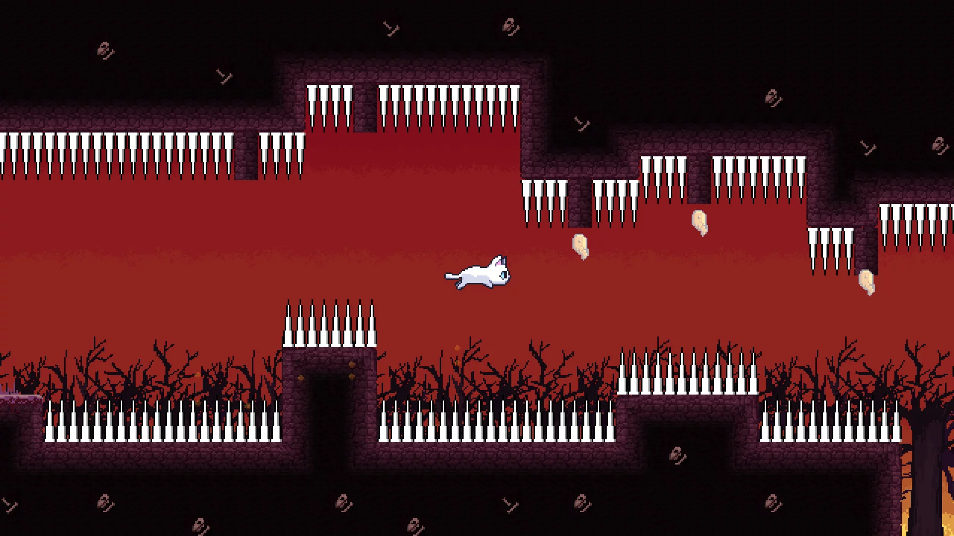 Изображение игры: Bubbles the Cat