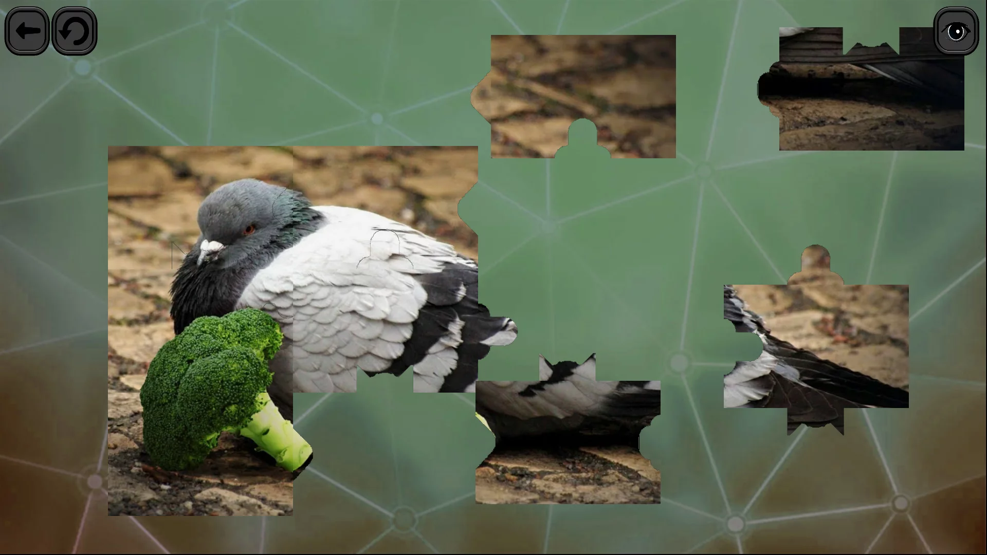 Изображение игры: Puzzles for smart: Birds