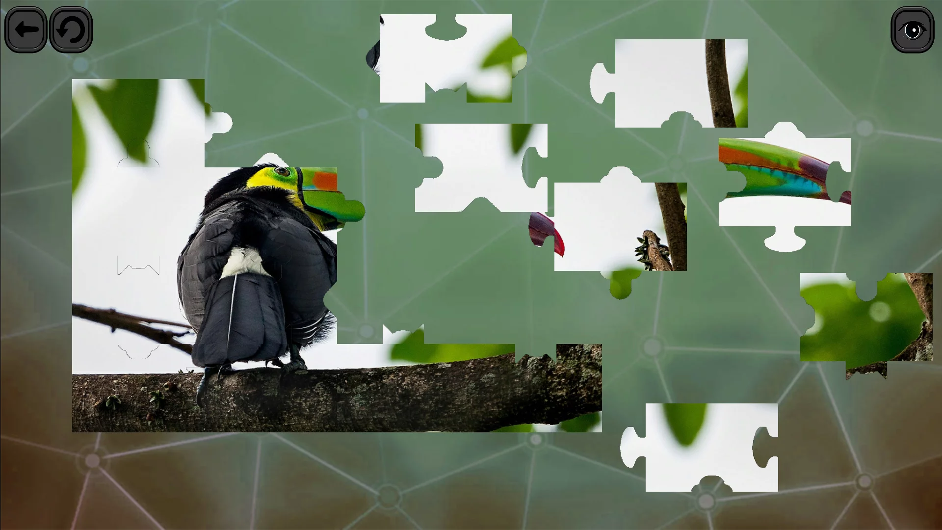 Изображение игры: Puzzles for smart: Birds