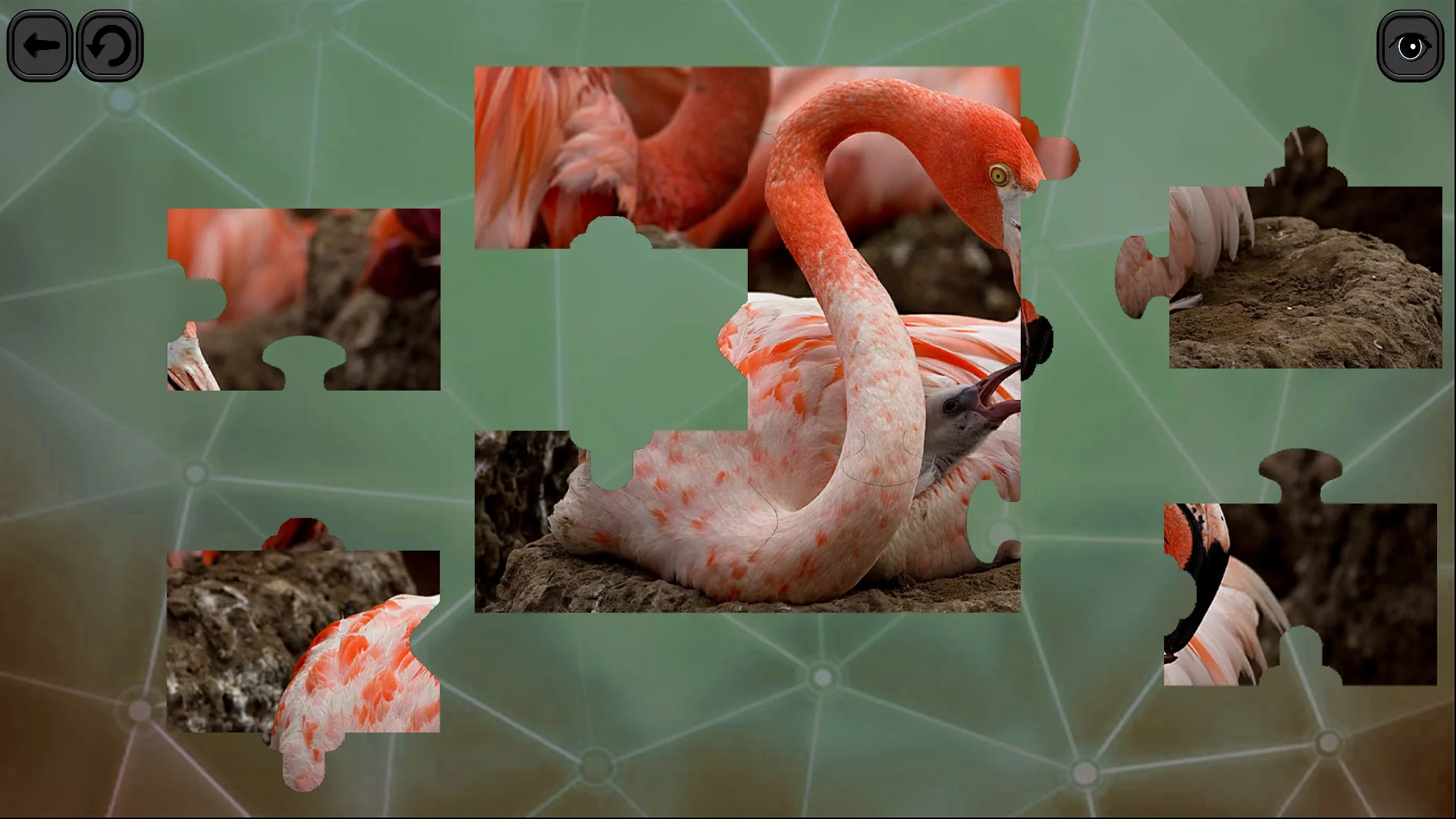 Изображение игры: Puzzles for smart: Birds