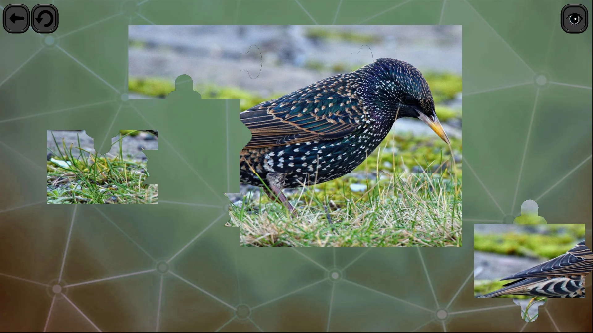 Изображение игры: Puzzles for smart: Birds