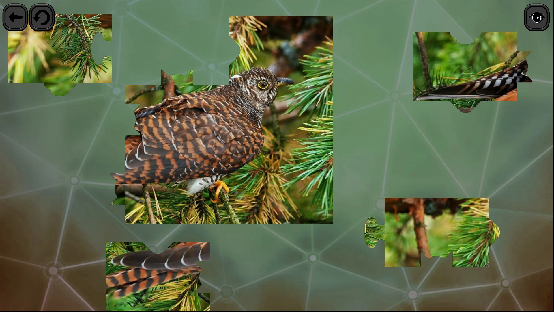 Изображение игры: Puzzles for smart: Birds