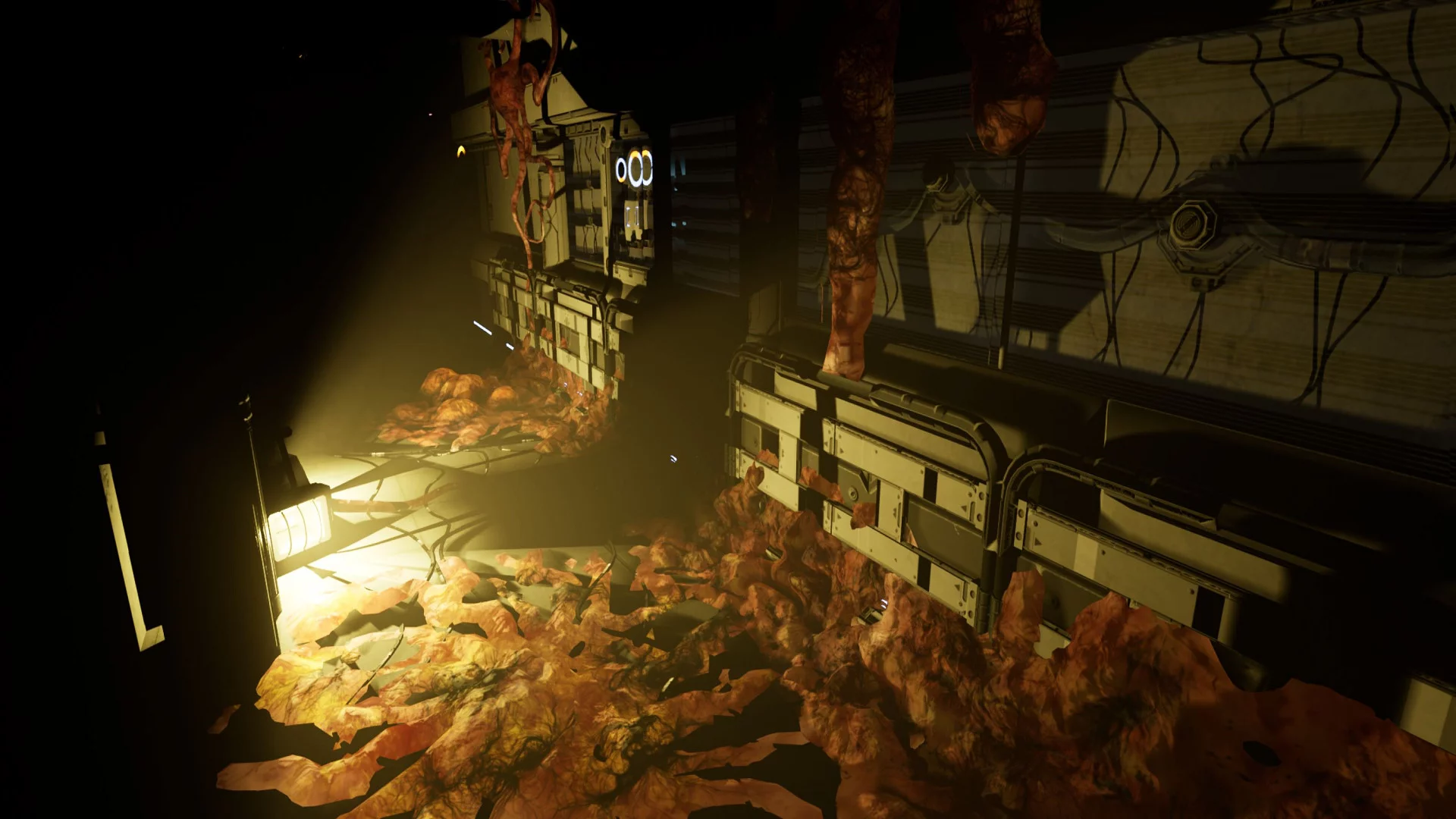 Изображение игры: SCP: Blackout