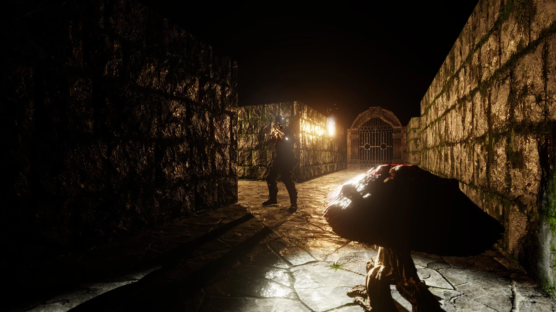 Изображение игры: The Dungeon Paradox