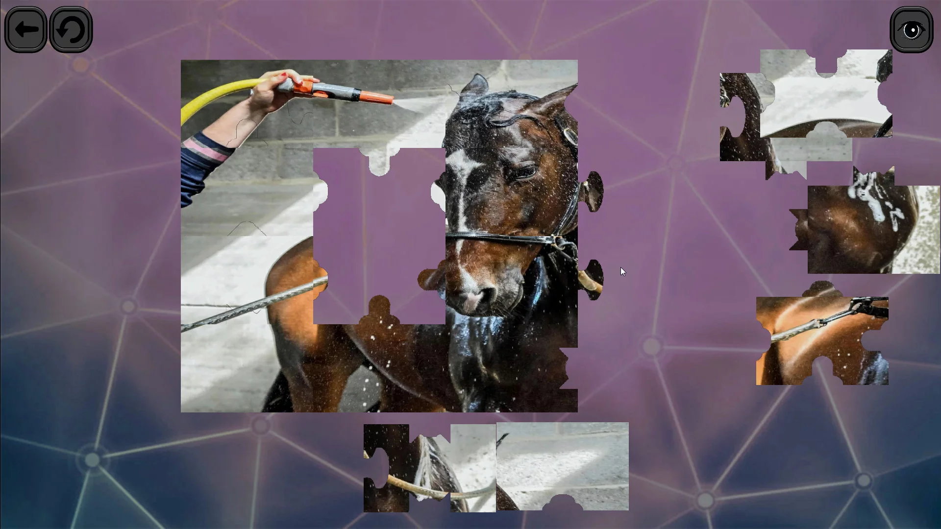 Изображение игры: Puzzles for smart: Horses
