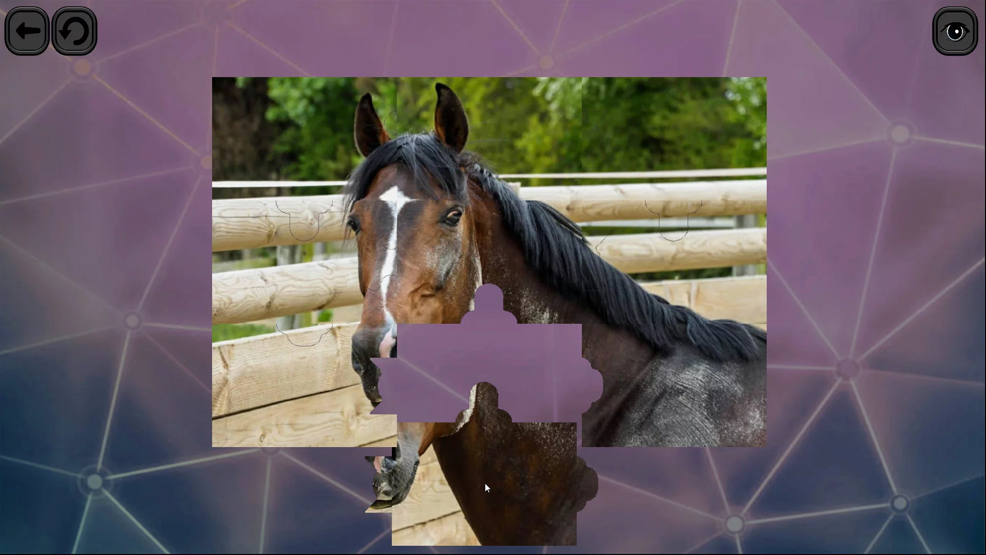 Изображение игры: Puzzles for smart: Horses