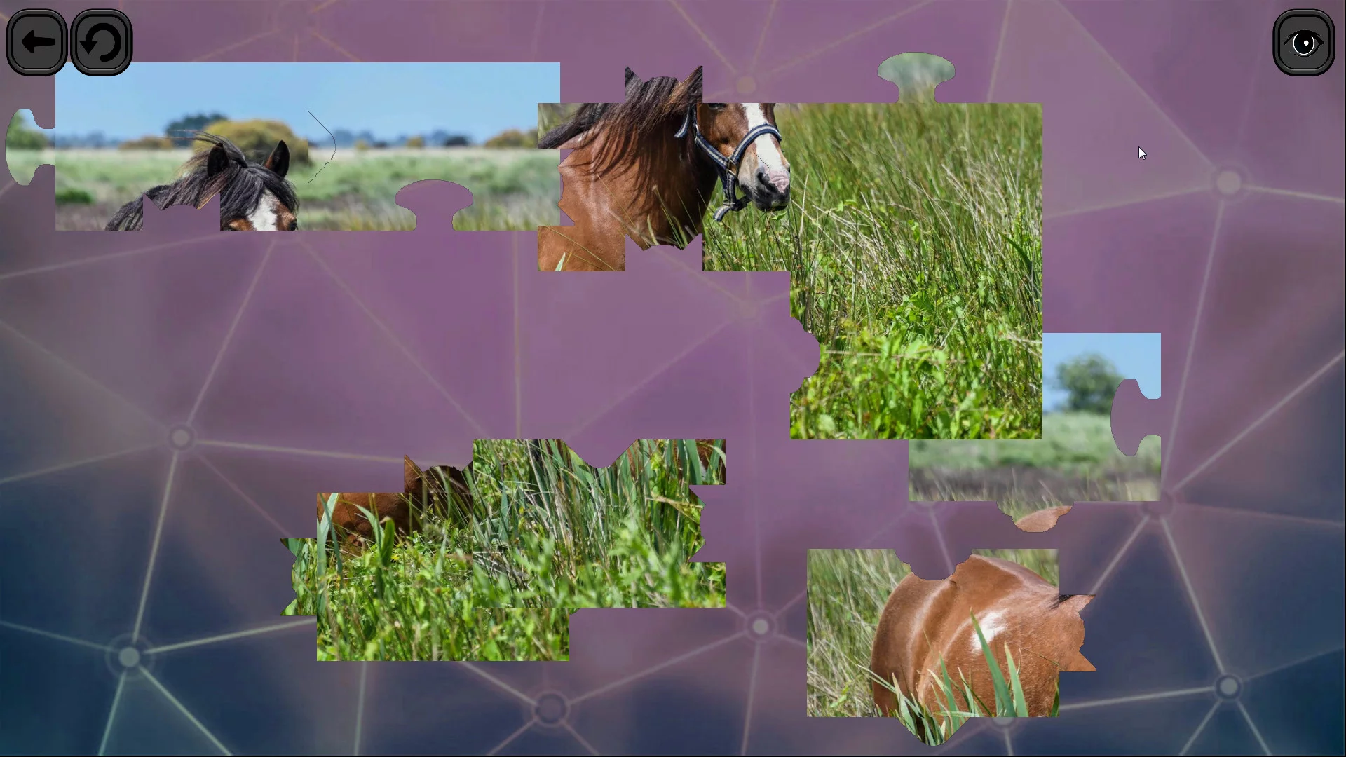 Изображение игры: Puzzles for smart: Horses