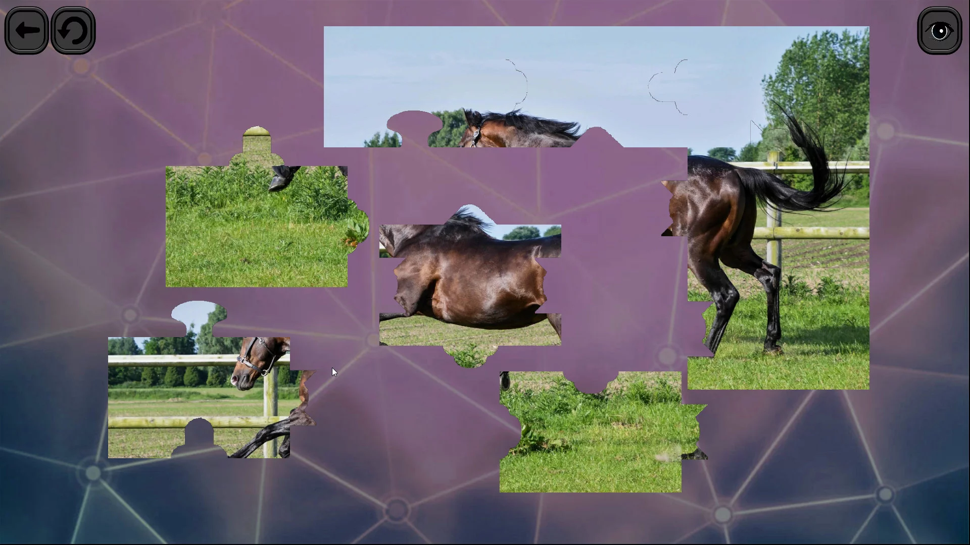 Изображение игры: Puzzles for smart: Horses