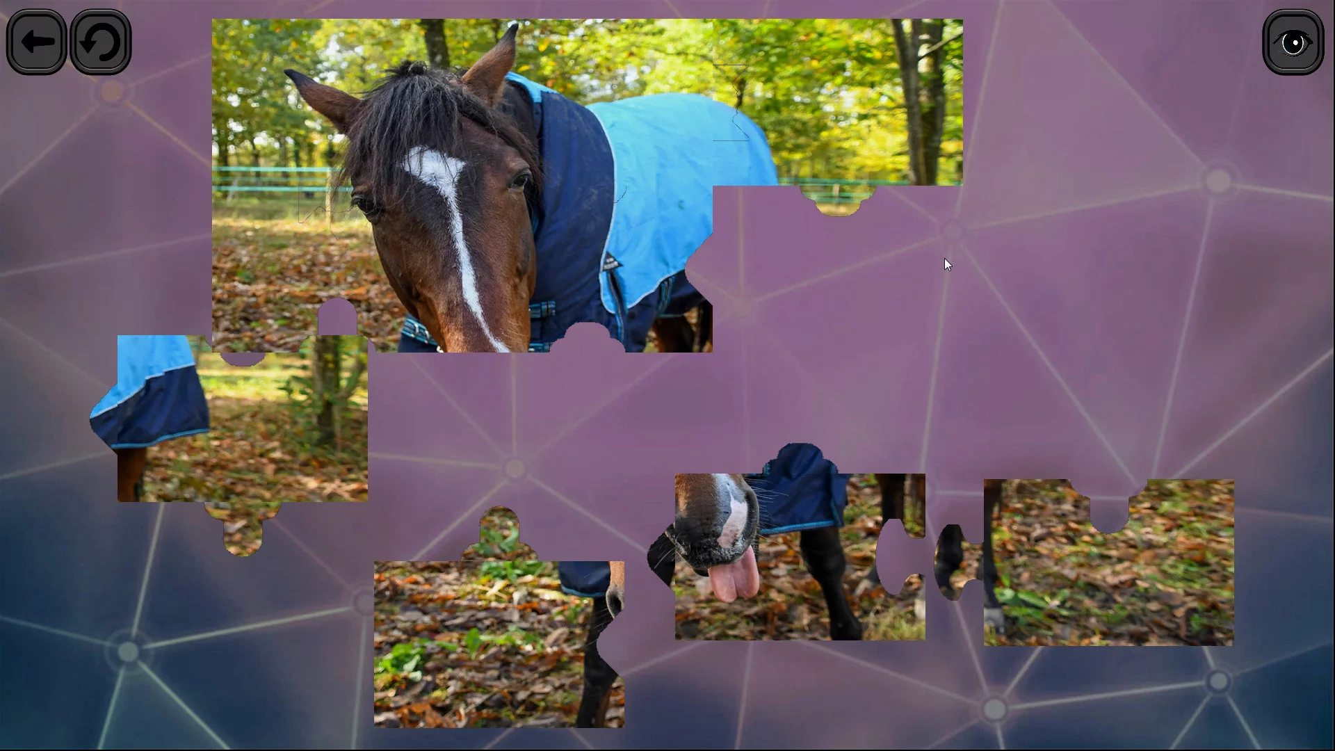 Изображение игры: Puzzles for smart: Horses