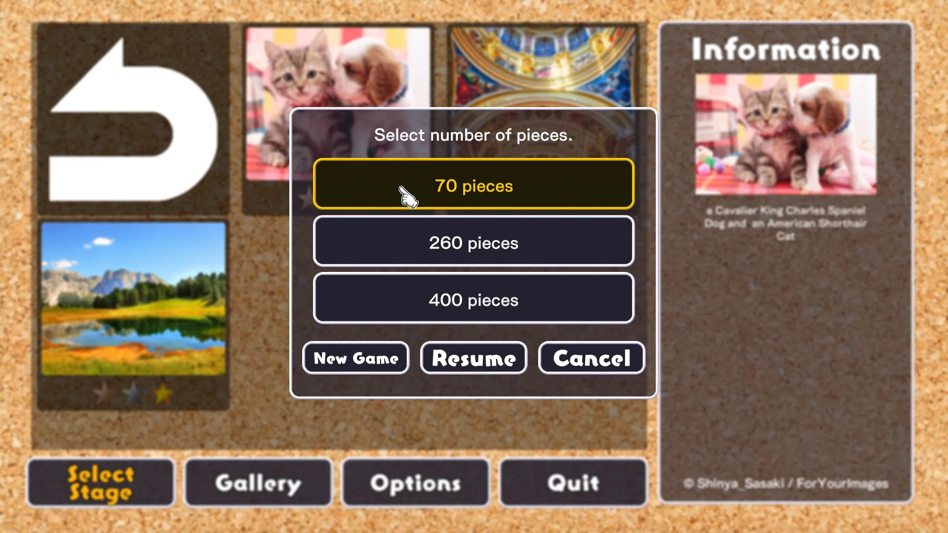 Изображение игры: Jigsaw Masterpieces