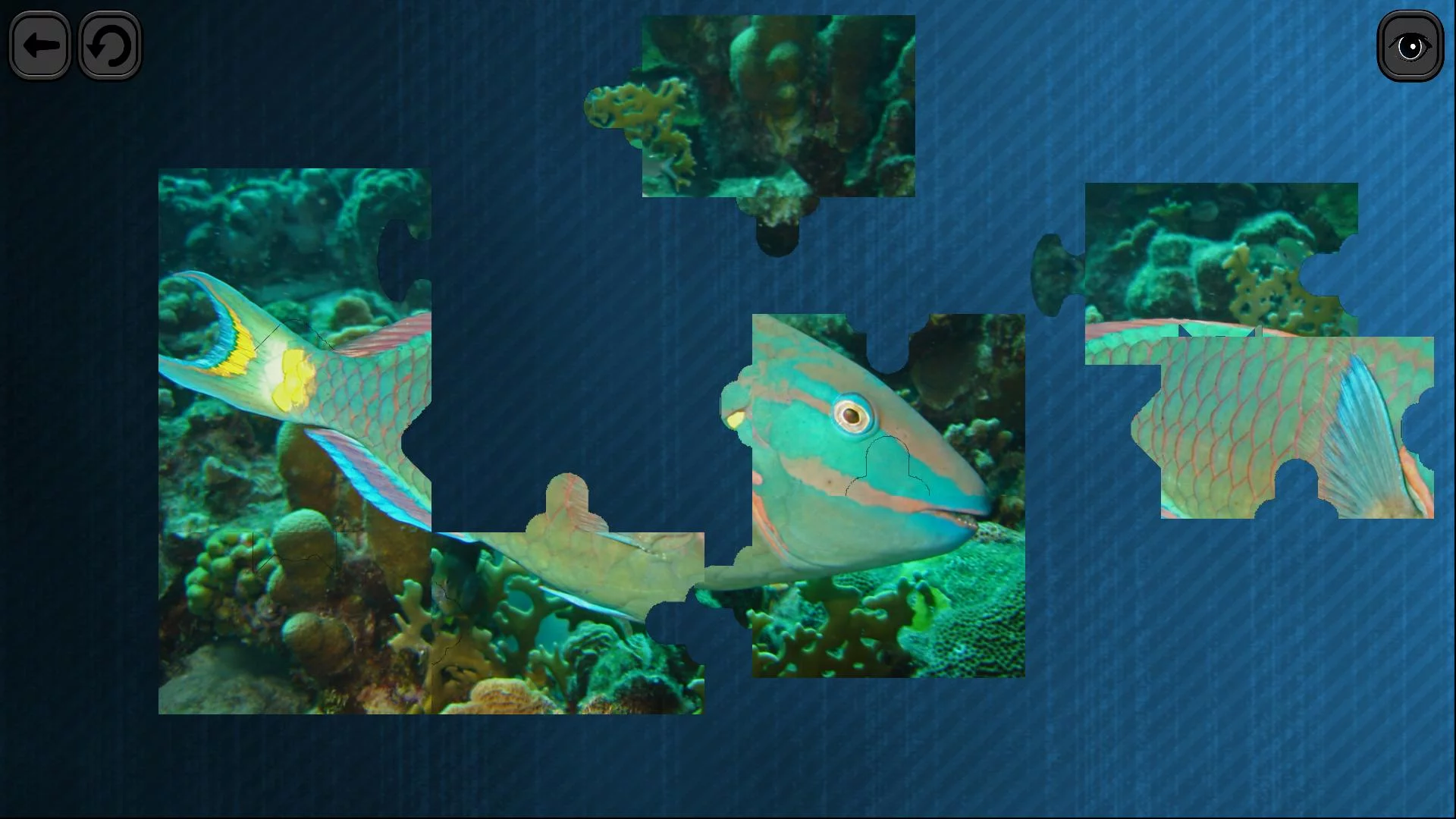 Изображение игры: Puzzles for smart: Underwater Kingdom