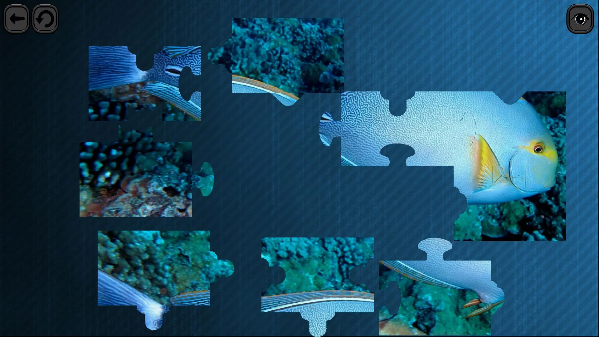 Изображение игры: Puzzles for smart: Underwater Kingdom