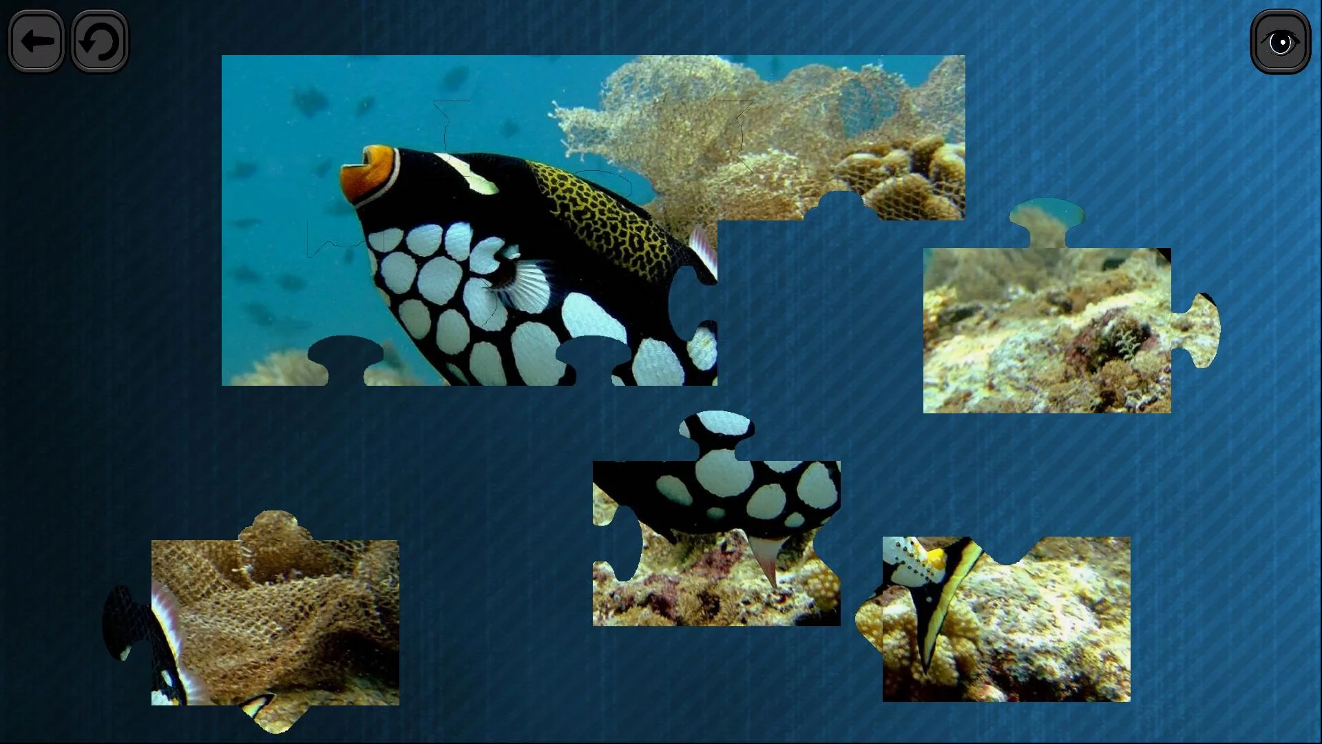 Изображение игры: Puzzles for smart: Underwater Kingdom