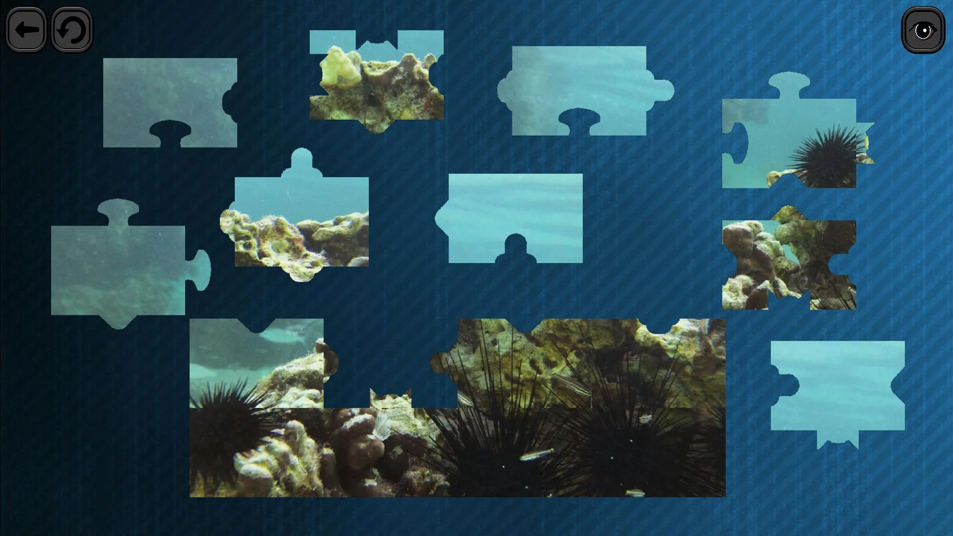 Изображение игры: Puzzles for smart: Underwater Kingdom