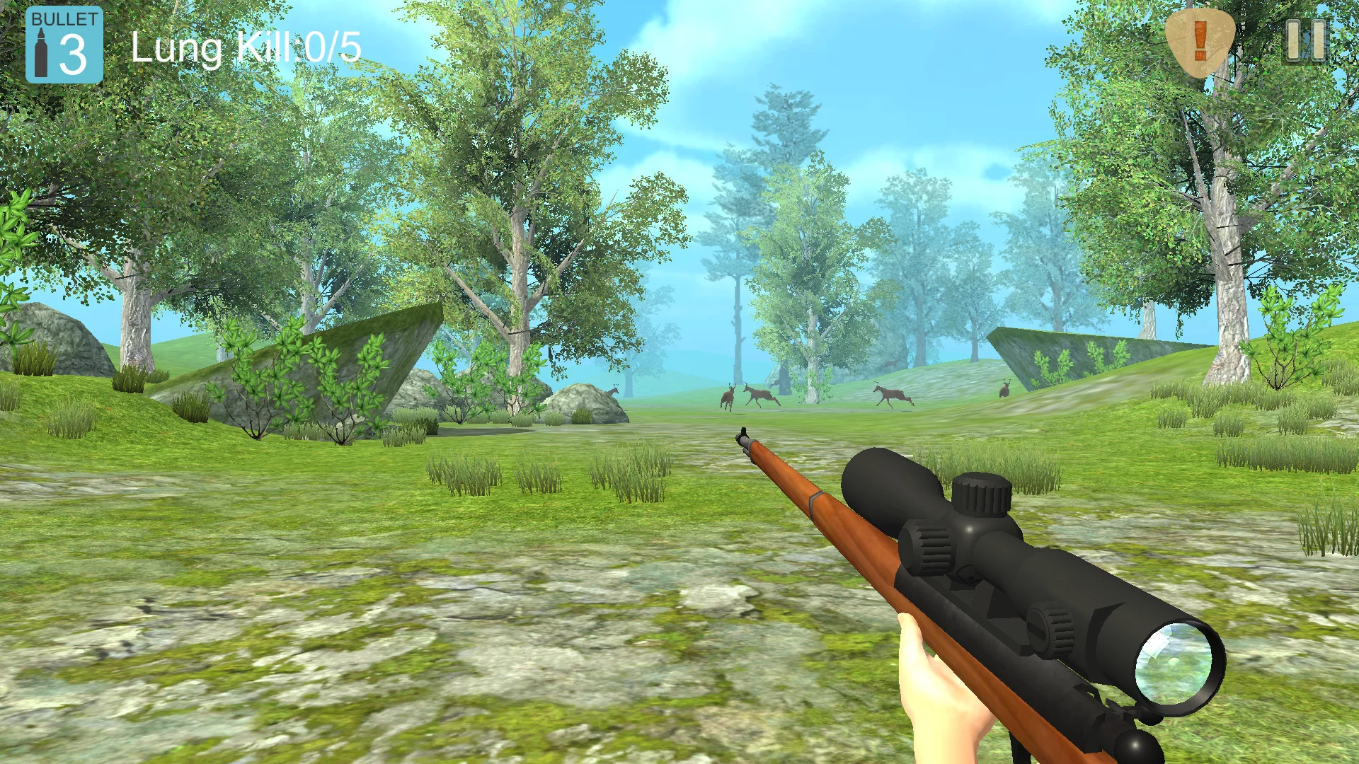 Изображение игры: Hunter