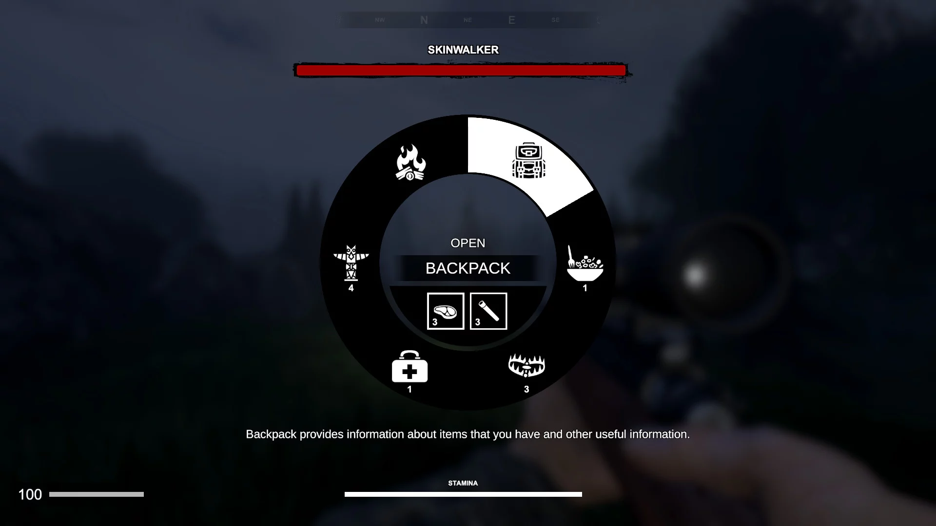 Изображение игры: Skinwalker Hunt
