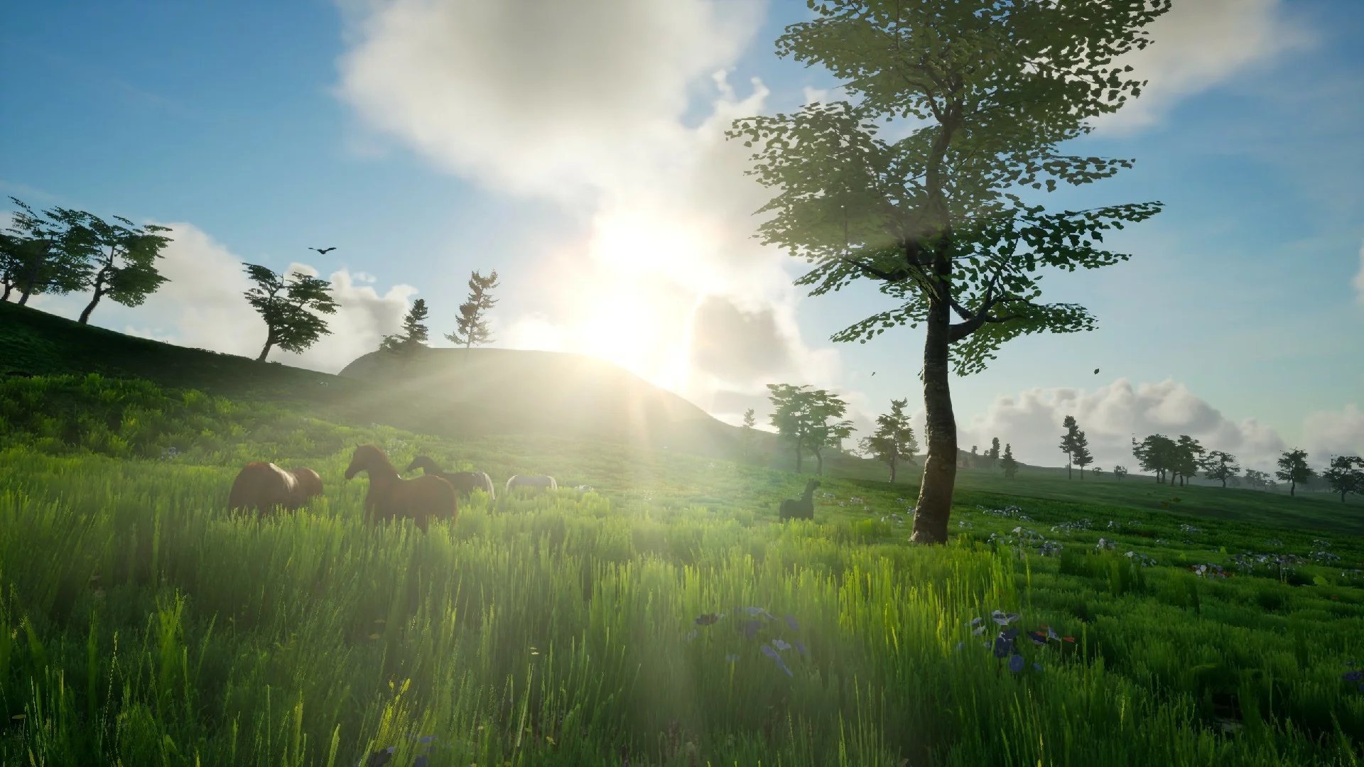 Изображение игры: My Island