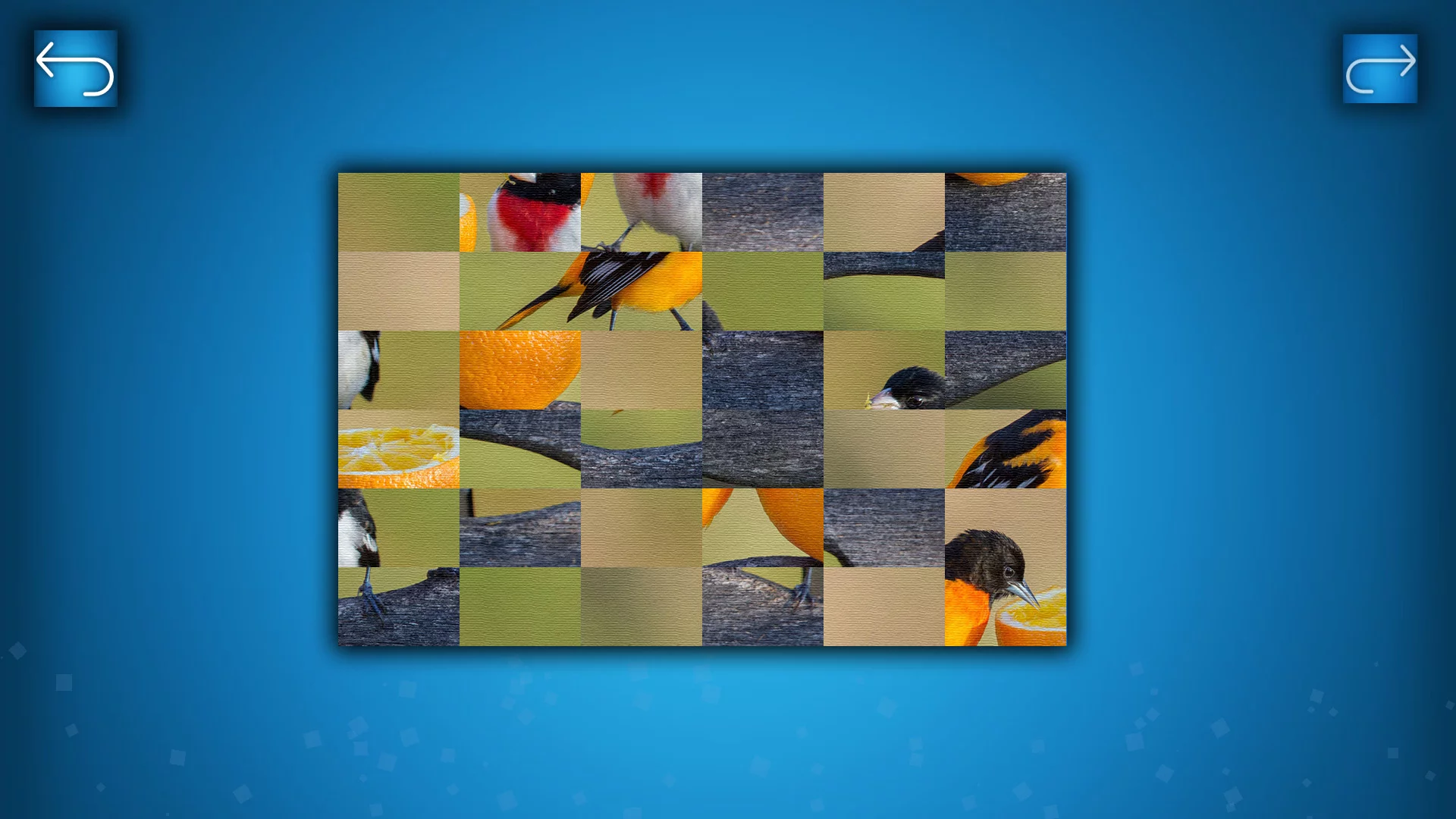 Изображение игры: PUZZLE: BIRDS