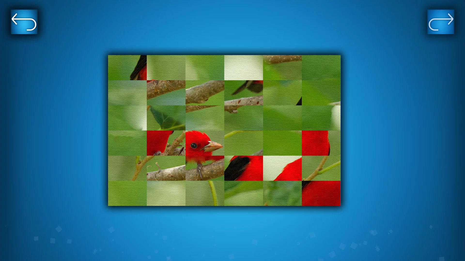 Изображение игры: PUZZLE: BIRDS