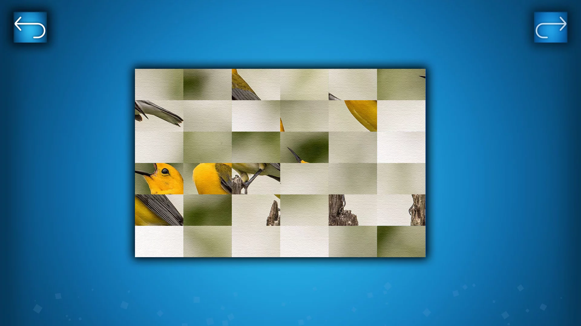 Изображение игры: PUZZLE: BIRDS