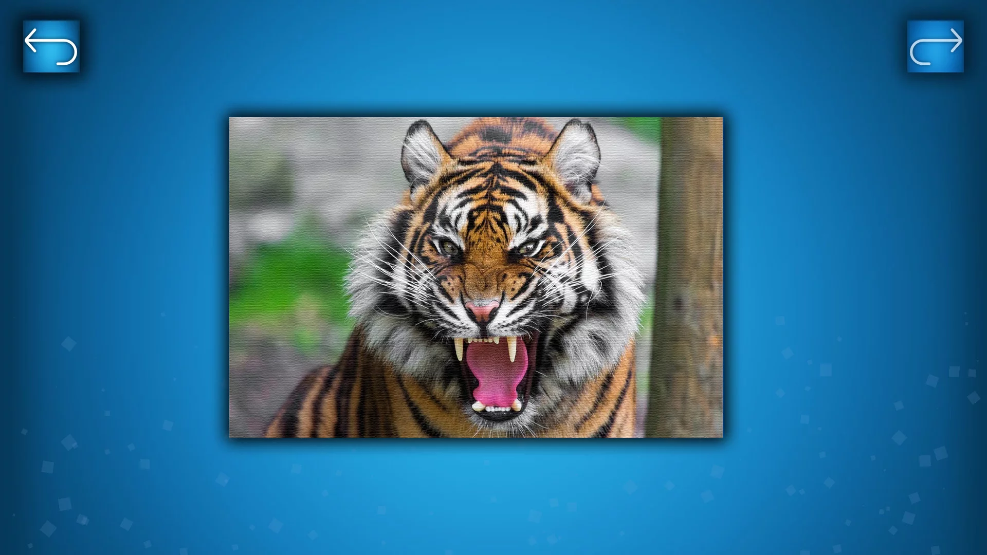 Изображение игры: PUZZLE: ANIMALS