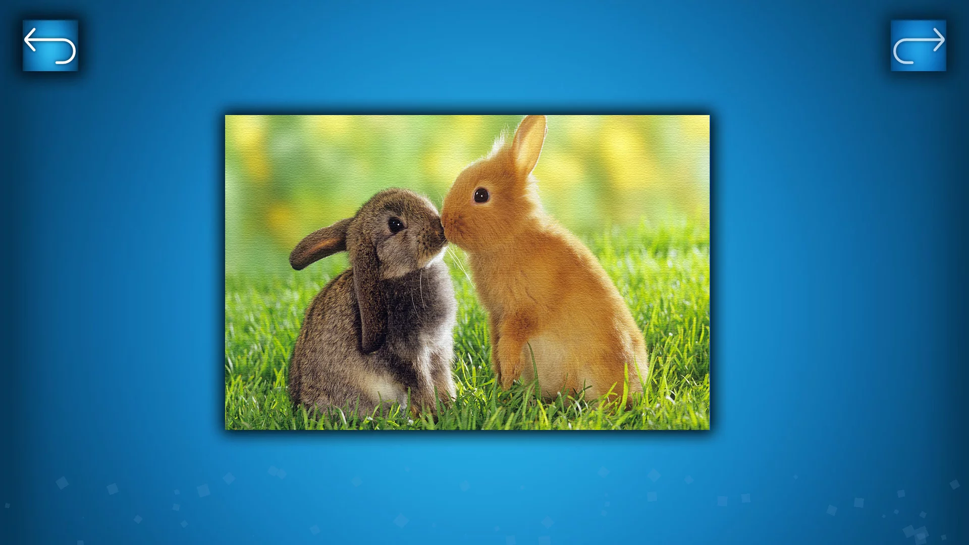 Изображение игры: PUZZLE: ANIMALS