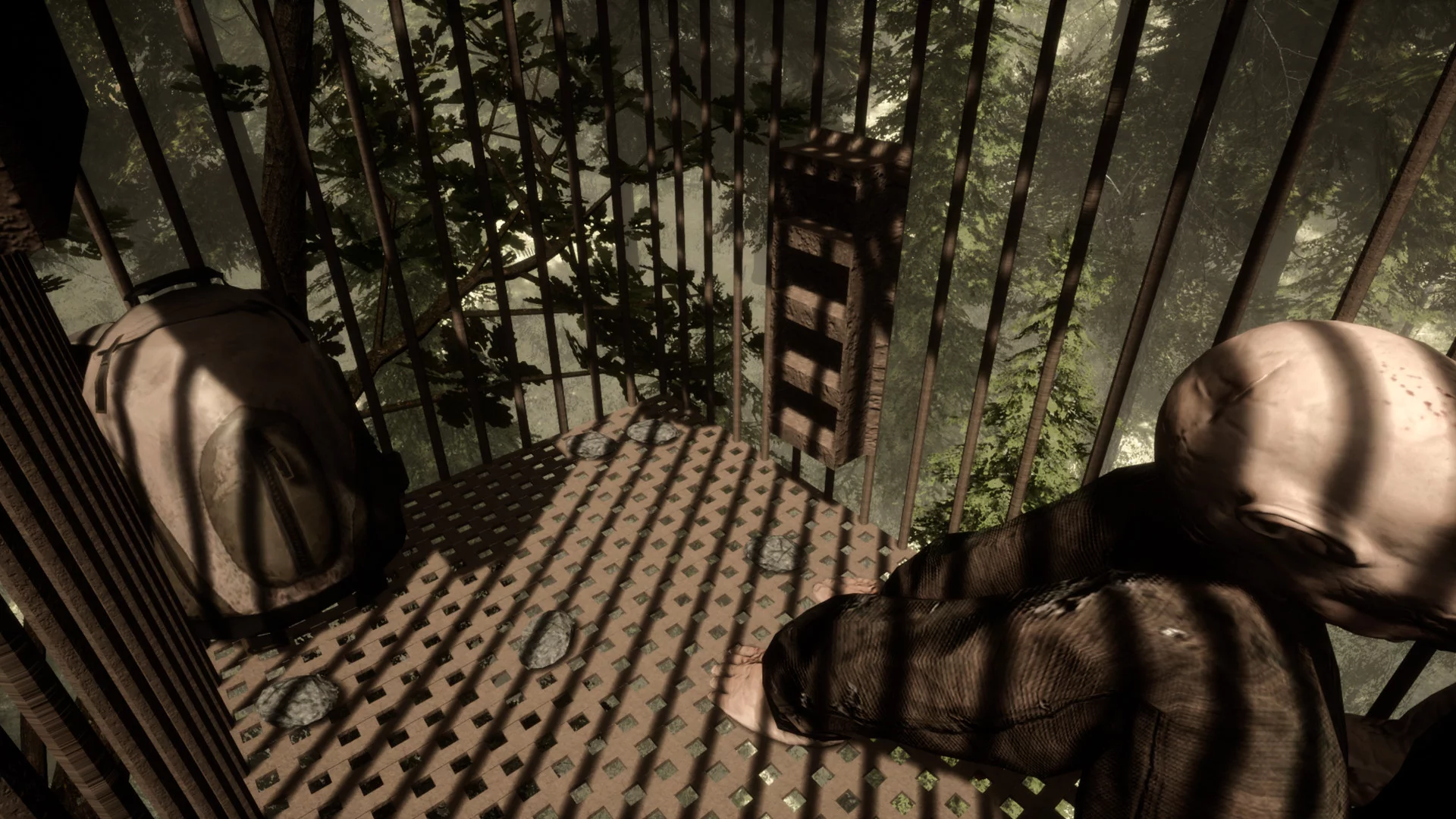 Изображение игры: The Woods: VR Escape the Room