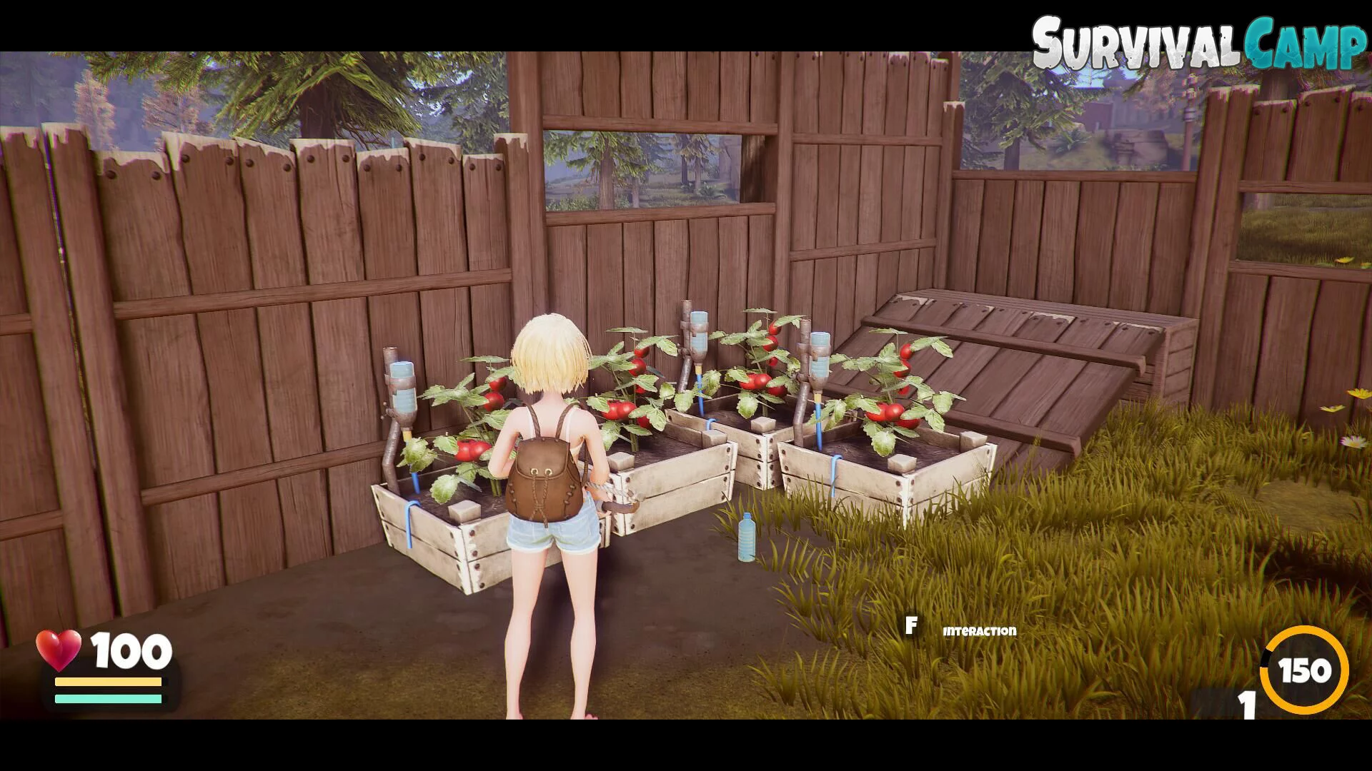 Изображение игры: Survival Camp