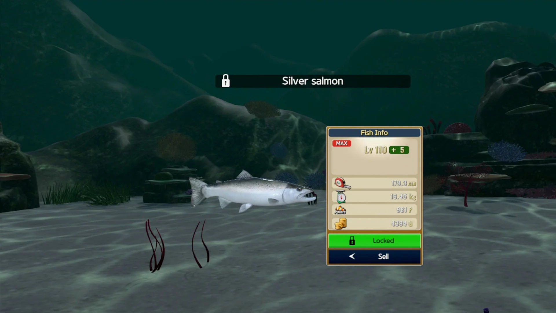 Изображение игры: Real Fishing VR