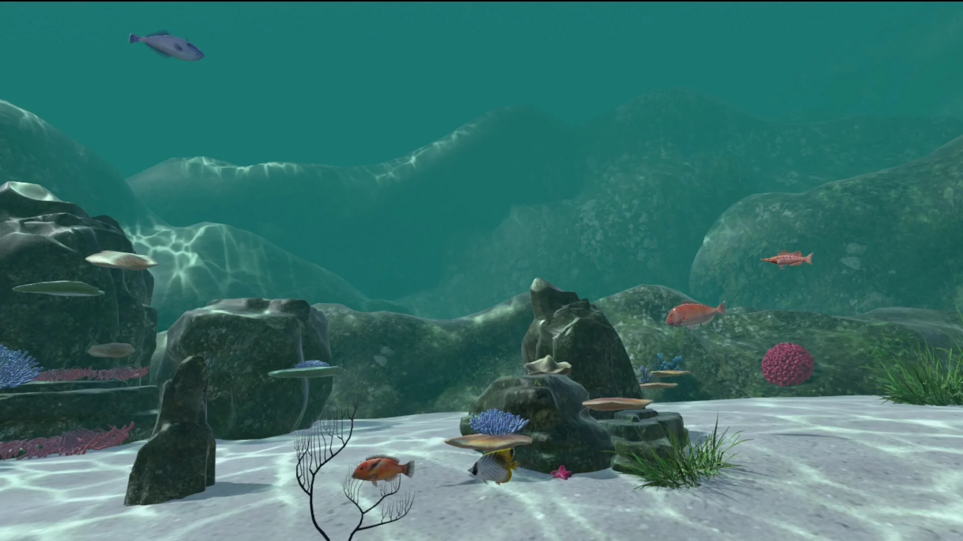 Изображение игры: Real Fishing VR
