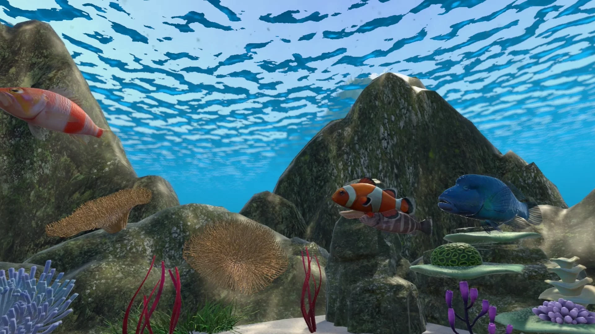 Изображение игры: Real Fishing VR